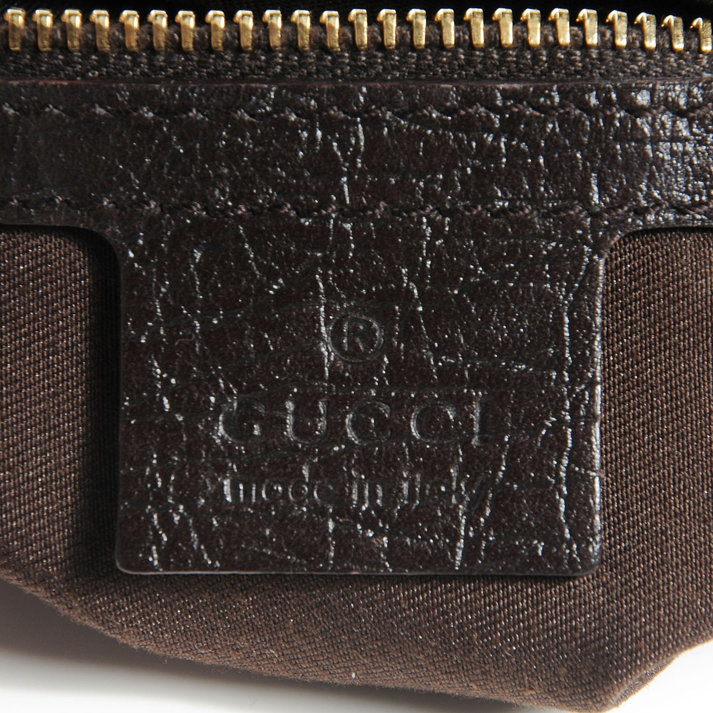 Monogram Hasler Hobo Dark Brown