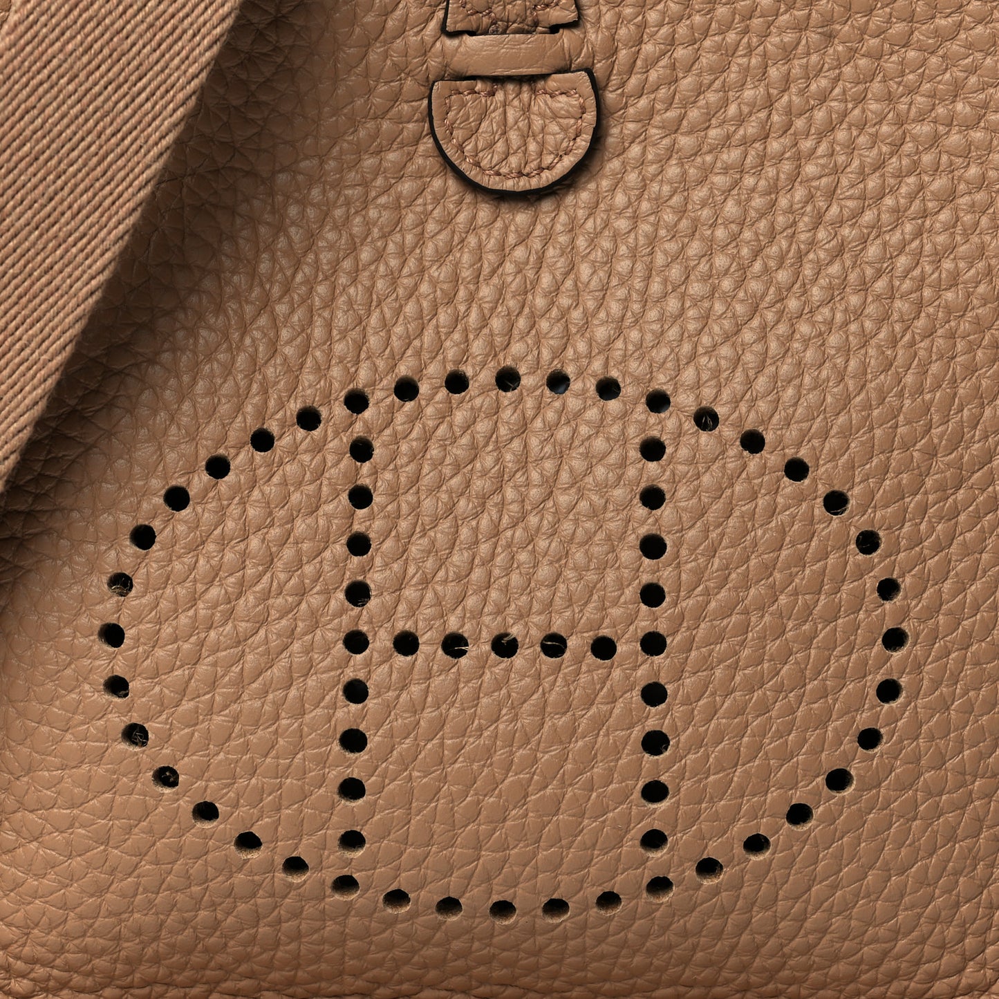 Taurillon Clemence Evelyne TPM Biscuit