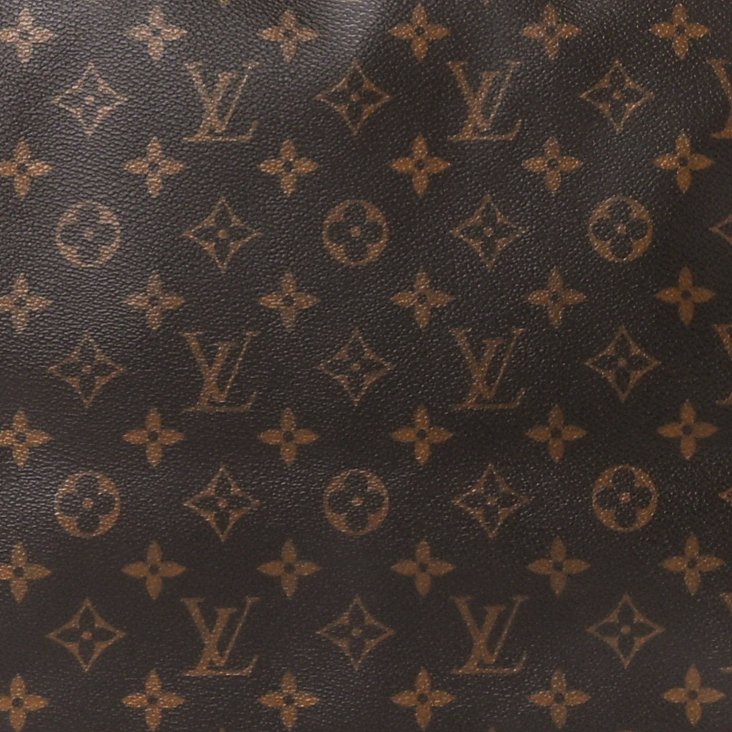 Monogram Cabas Mezzo