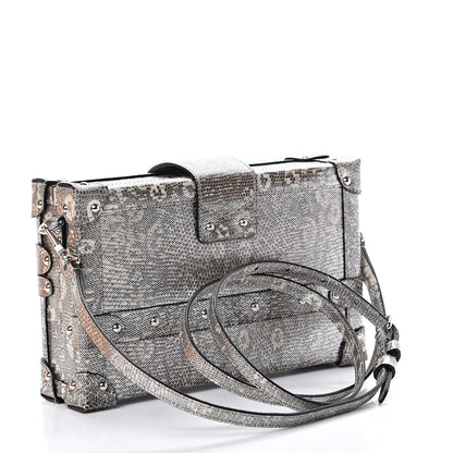 Louis Vuitton Lizard Petite Malle Silver 2 of 11