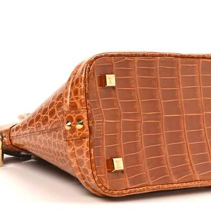 Louis Vuitton Crocodile Lockit PM Brown 8 of 9