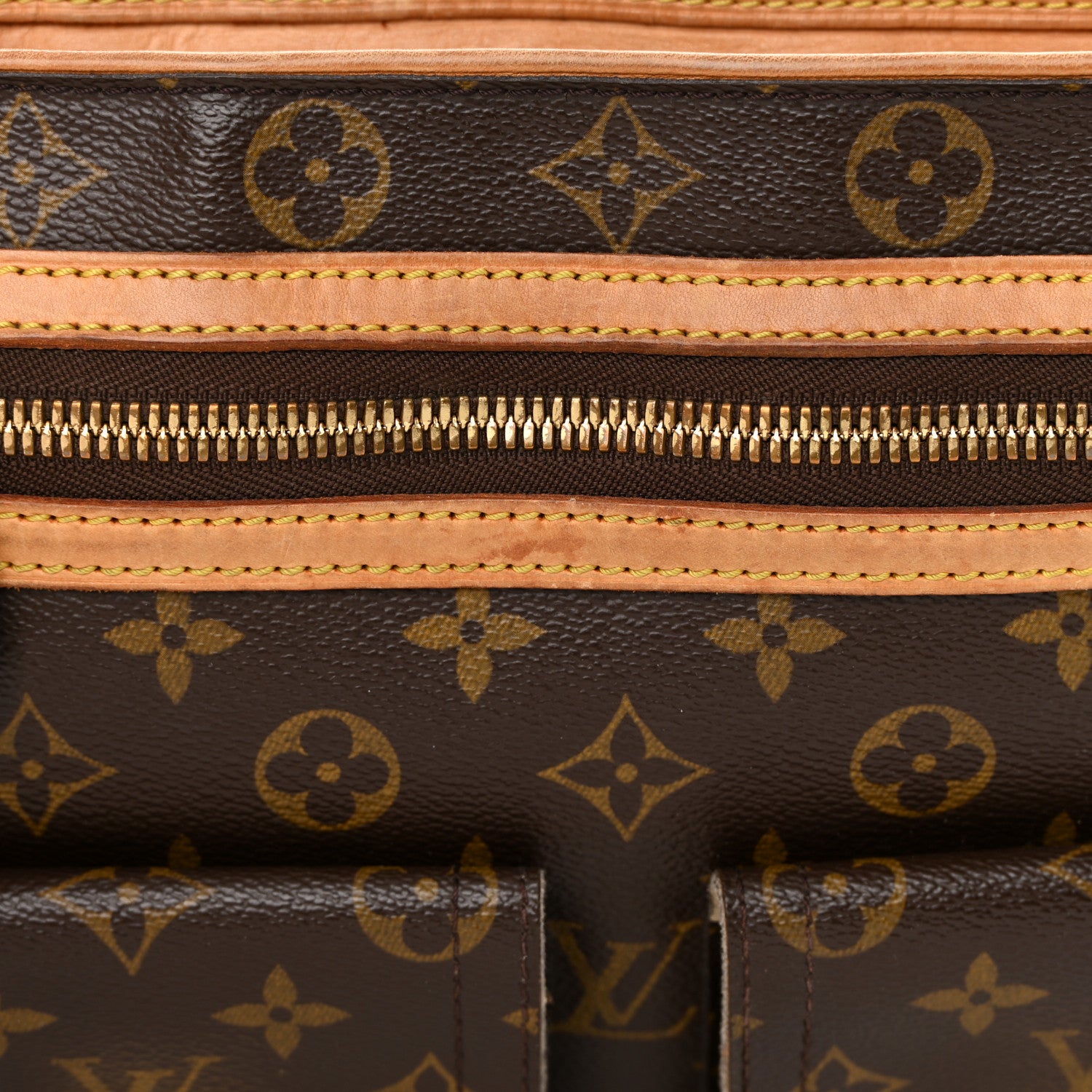 Louis Vuitton Monogram Hudson GM 18 of 23