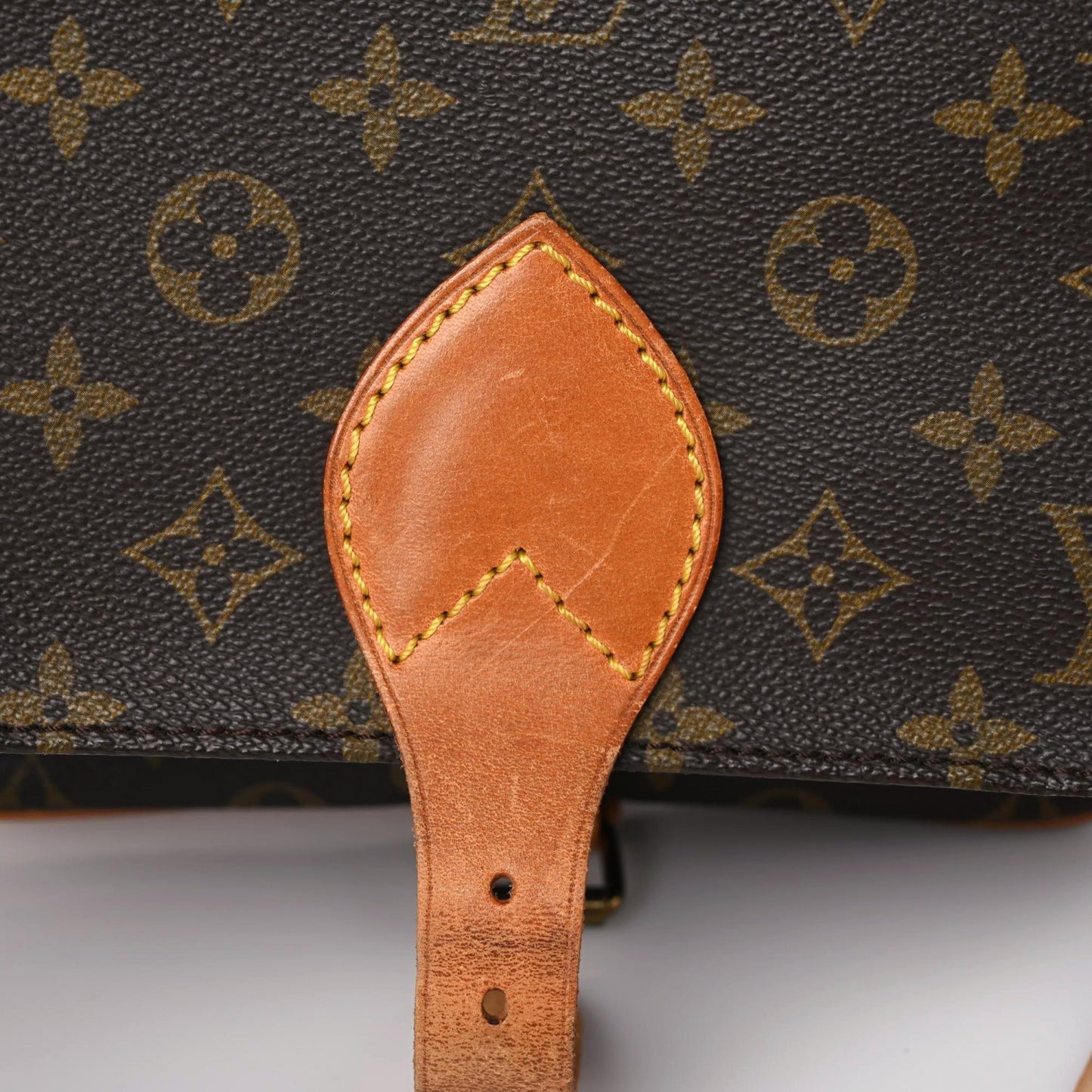 Monogram Cartouchiere 22