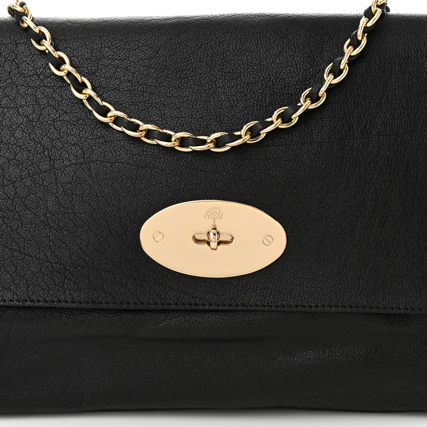 Shiny Buffalo Lily Black