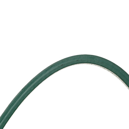 Goyard Goyardine Saint Louis GM Green 11 of 11