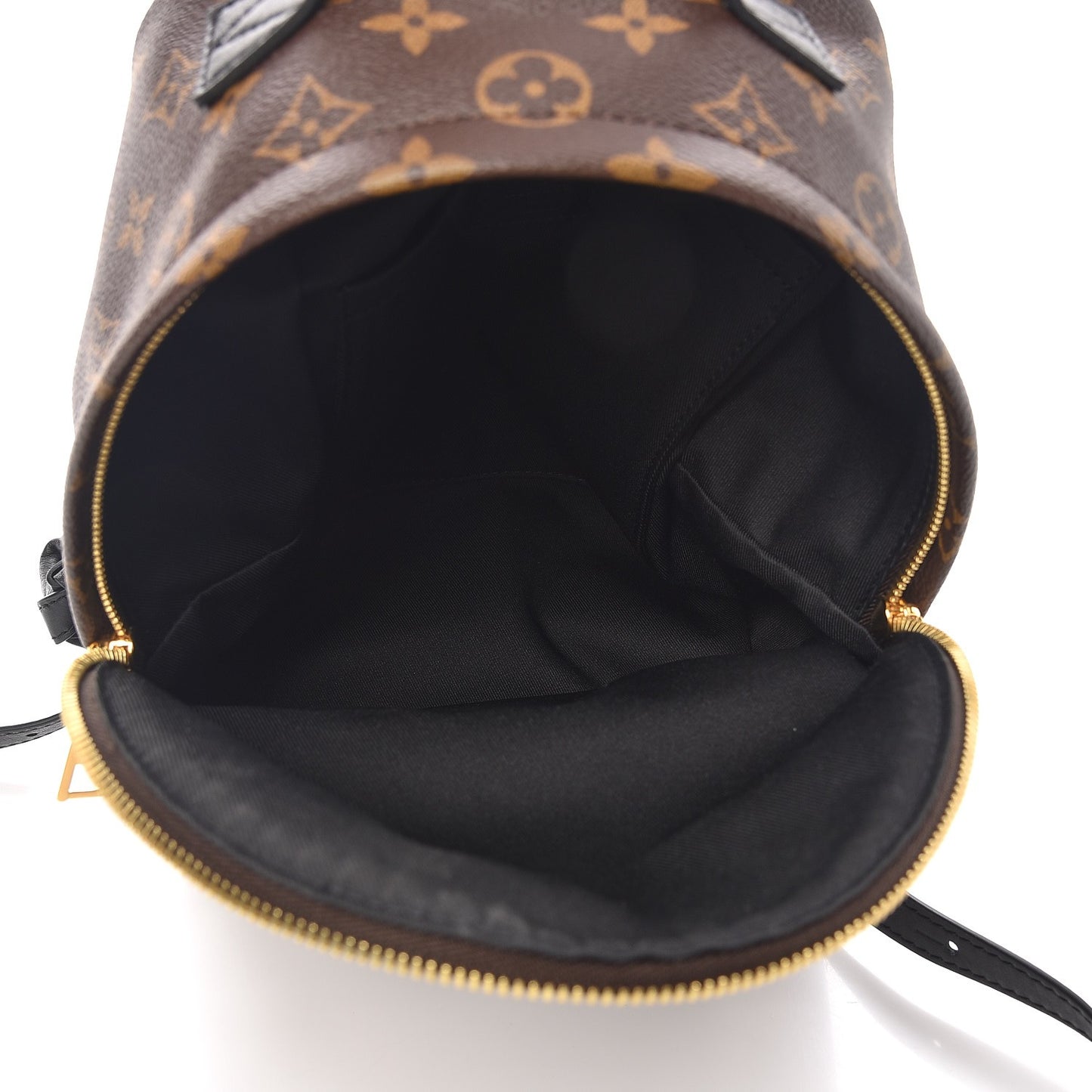 Monogram Palm Springs Backpack PM