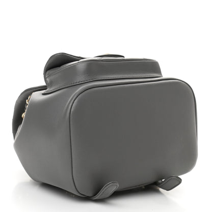 Chanel Lambskin Quilted Small Duma Drawstring Backpack Grey 4 of 10