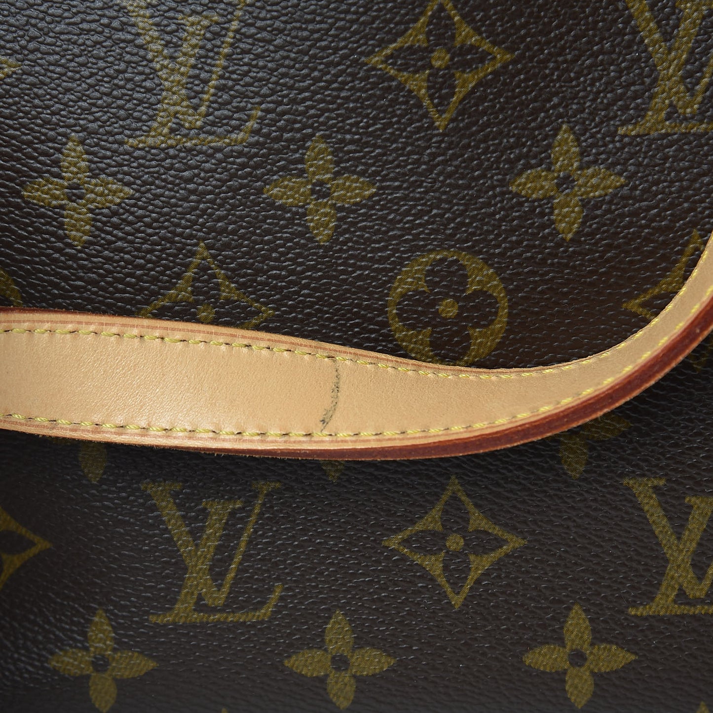 Monogram Cabas Piano