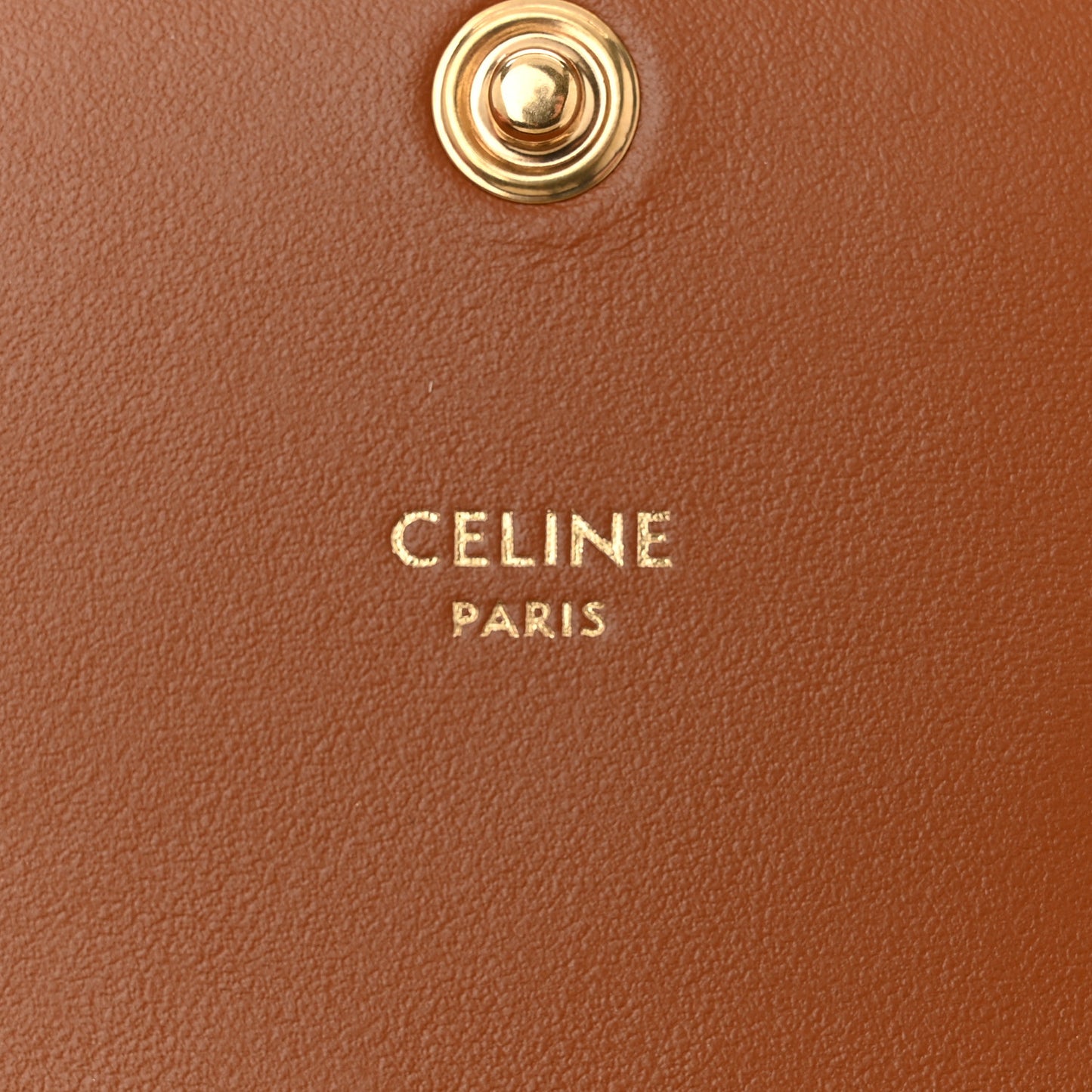 Canvas Calfskin Triomphe Multipochette Grege