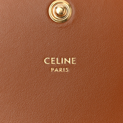 Celine Canvas Calfskin Triomphe Multipochette Grege 6 of 10