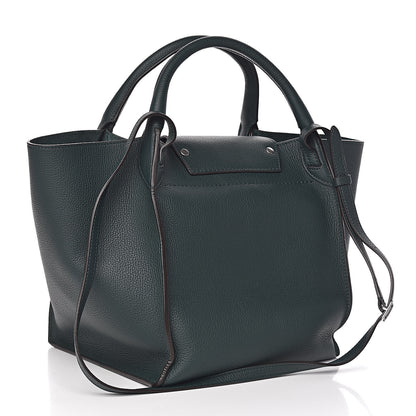 Celine Supple Grained Calfskin Small Big Bag Amazone 3 of 9