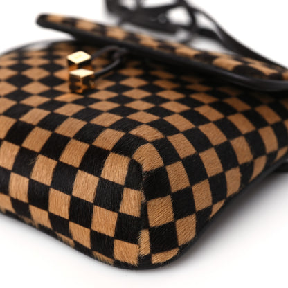 Louis Vuitton Damier Sauvage Gazelle Pochette 8 of 8