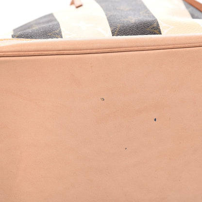 Louis Vuitton Monogram Rayures Noe 9 of 12