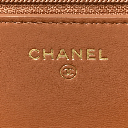 Chanel Lambskin Quilted Chanel 19 Wallet On Chain WOC Brown 6 of 9