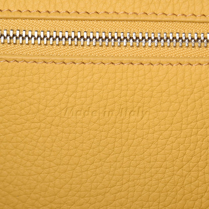 Celine Supple Grained Calfskin Small Big Bag Sunflower 7 of 8