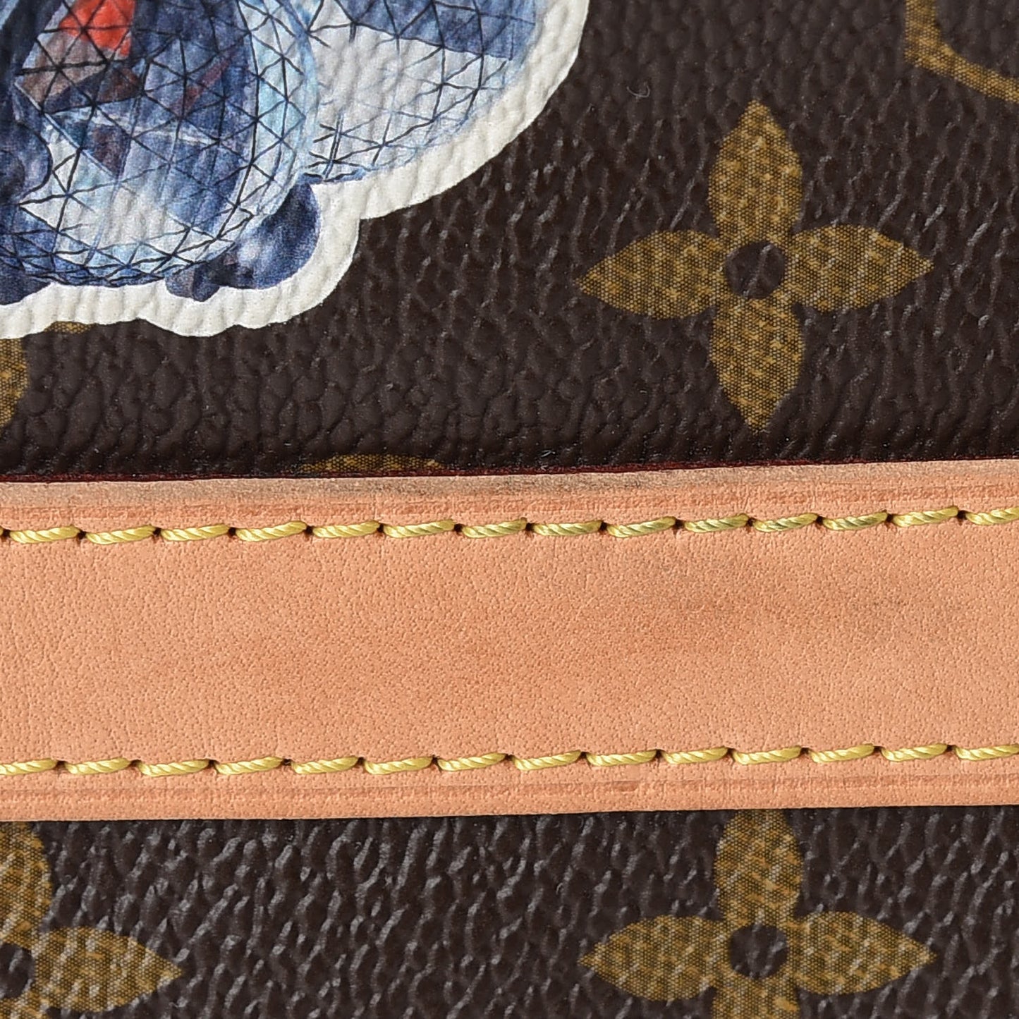 Monogram World Tour Speedy Bandouliere 30