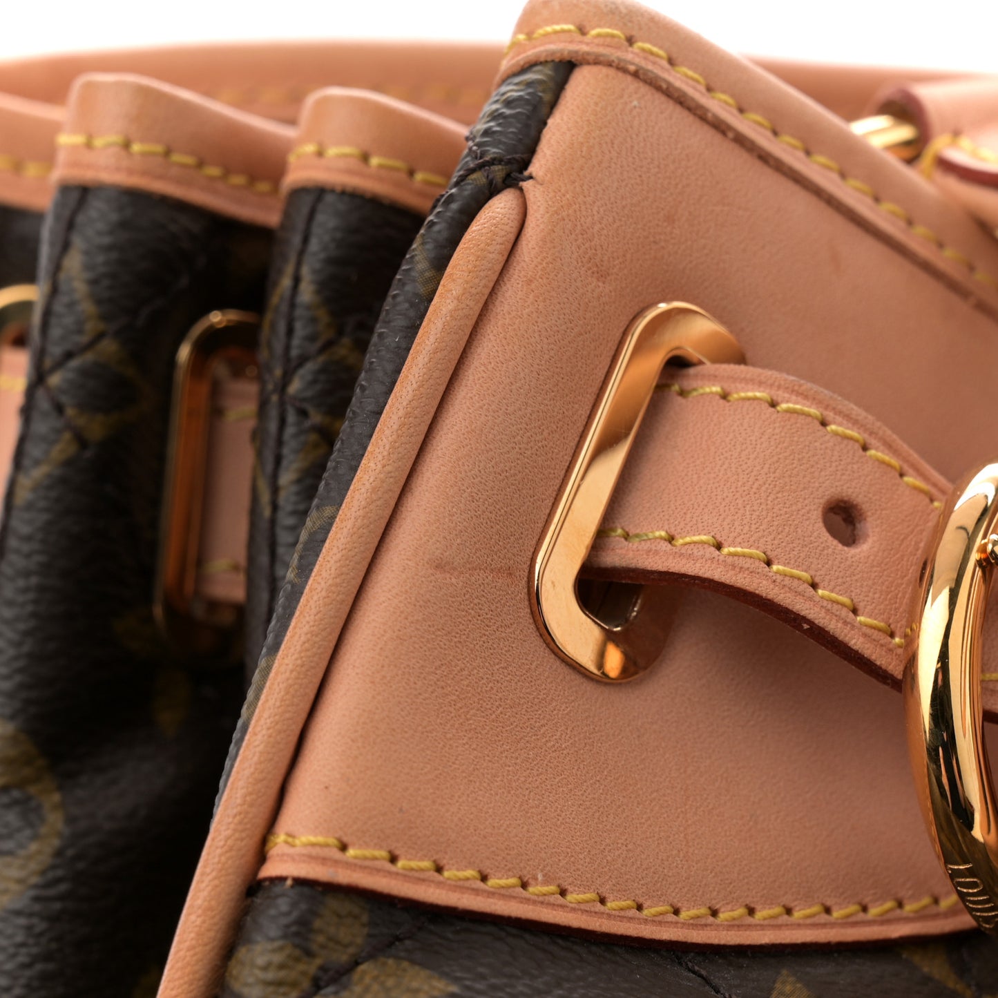 Monogram Etoile Shopper