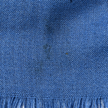 Hermes Cashmere Silk Whispering Horses Echarpe Muffler Mediterranee Indigo 6 of 11
