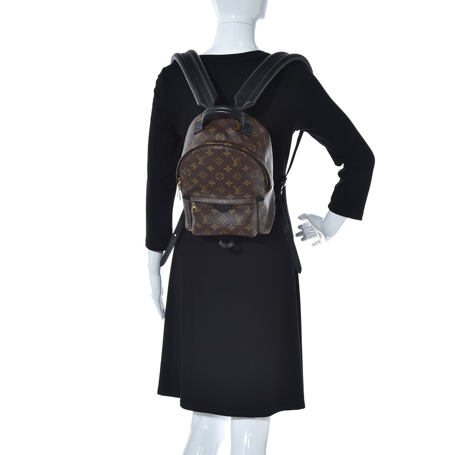 Louis Vuitton Monogram Palm Springs Backpack PM 2 of 7