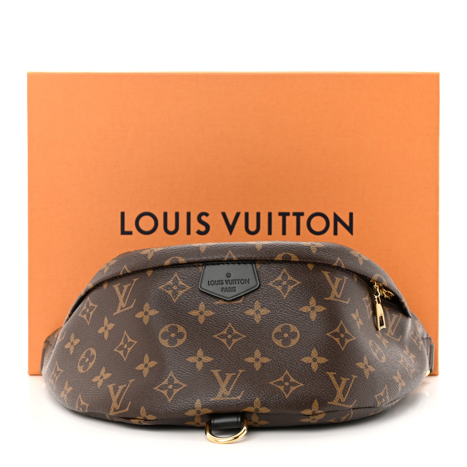 Louis Vuitton Monogram My LV World Tour Bumbag 11 of 11