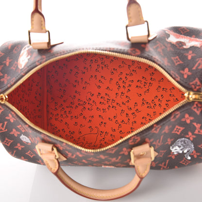 Louis Vuitton Catogram Speedy Bandouliere 30 Marron 7 of 9