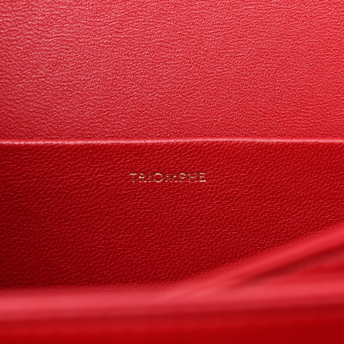 Shiny Calfskin Teen Triomphe Red