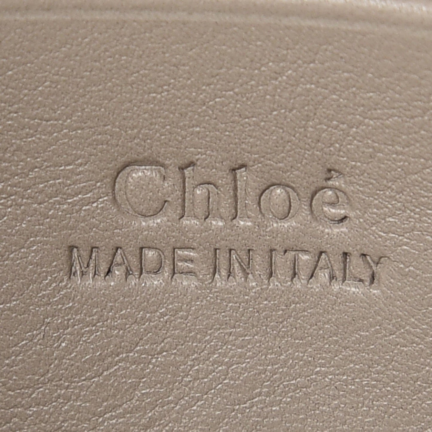 Suede Calfskin Faye Wallet On Strap Motty Grey