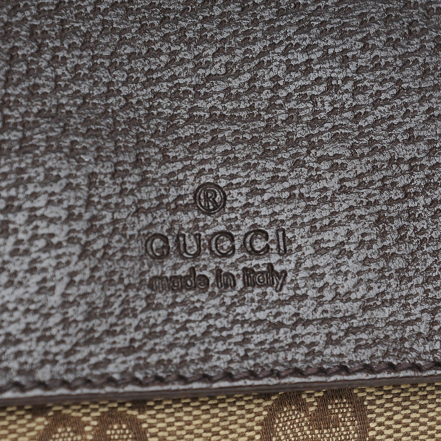 Monogram Web Belt Bag Dark Brown