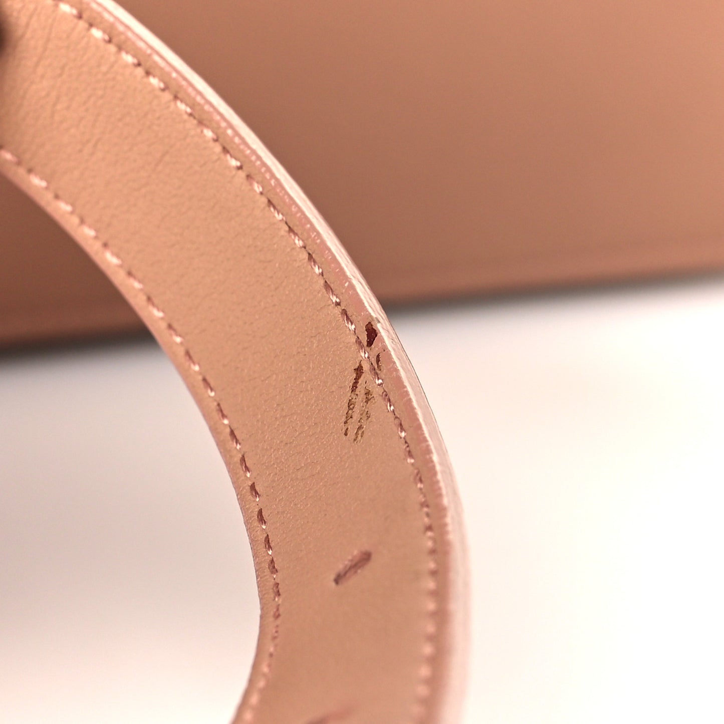 Ultra Matte Calfskin Saddle Belt Bag Rose Des Vents
