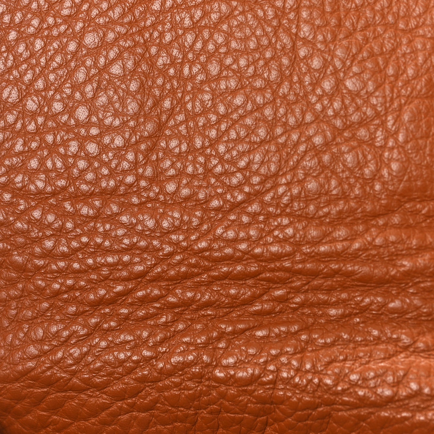 Grained Calfskin Small Marcie Saddle Bag Tan