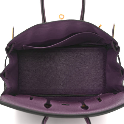 Hermes Togo Birkin 25 Cassis 5 of 11