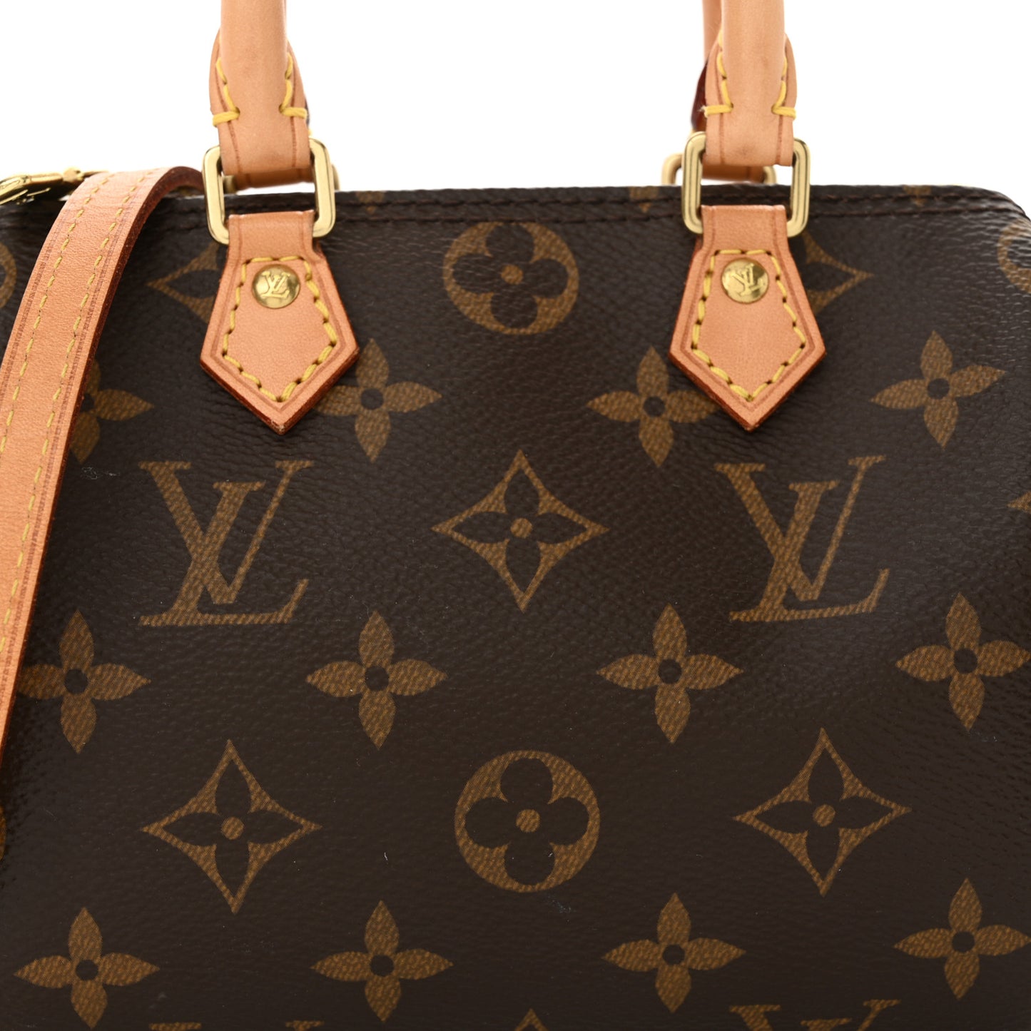 Monogram Nano Speedy