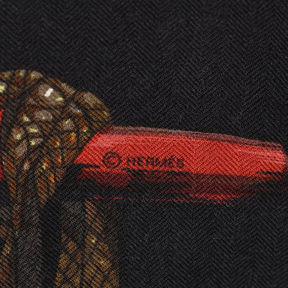Hermes Cashmere Silk Passementerie Shawl 140 3 of 6