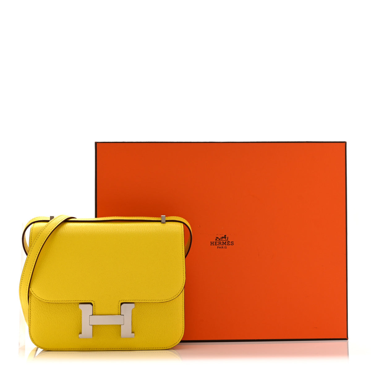Chevre Mysore Constance 18 Jaune De Naples
