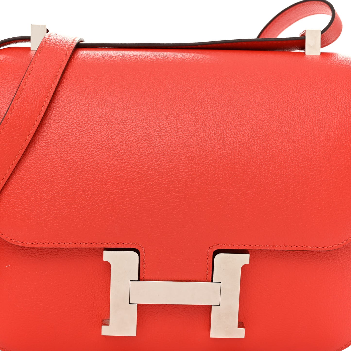 Evercolor Constance 24 Orange Poppy