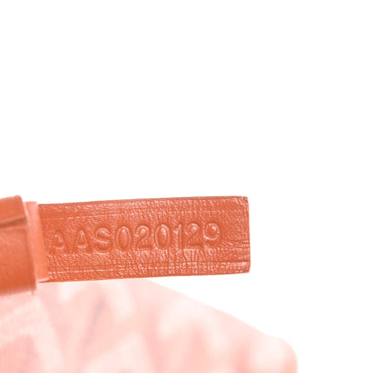 Goyard Goyardine Saint Louis PM Orange 8 of 14