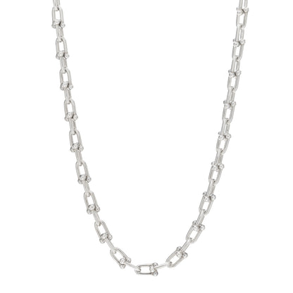 Tiffany Sterling Silver Medium HardWear Link Necklace 1 of 3