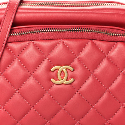 Chanel Calfskin Quilted Day Trips Camera Case Pink 9 of 11