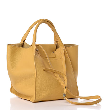 Celine Supple Grained Calfskin Small Big Bag Sunflower 3 of 12