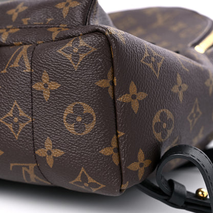 Louis Vuitton Monogram Palm Springs Backpack PM 8 of 10