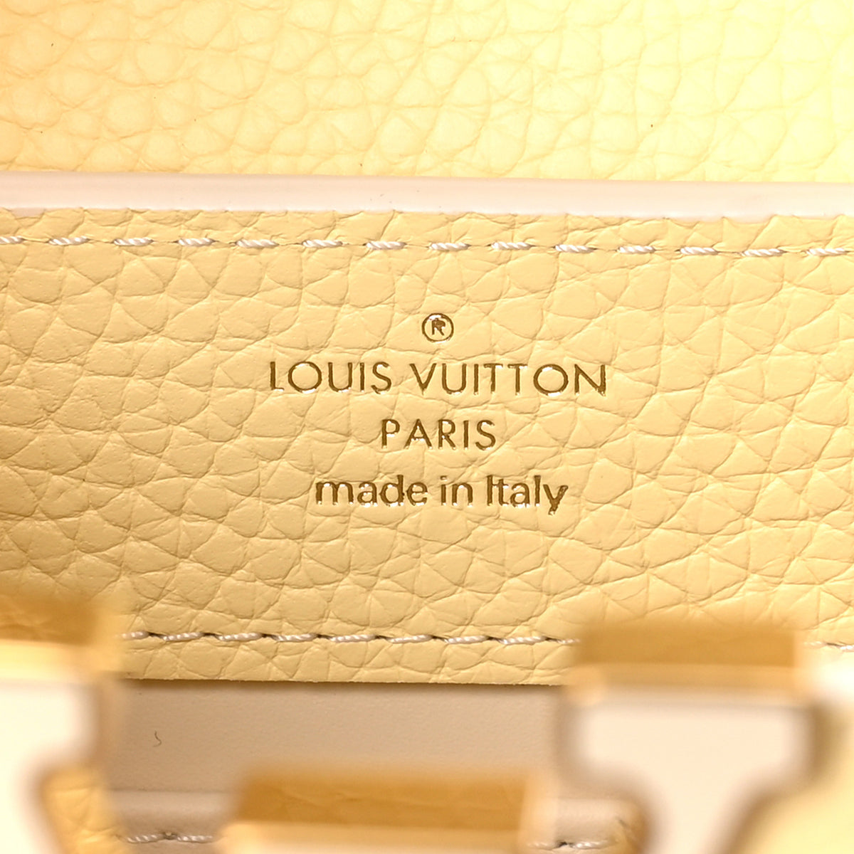 Louis Vuitton Taurillon MiniMe Capucines Mini Banane 7 of 10