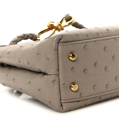 Bottega Veneta Ostrich Mini Andiamo Shoulder Bag Limestone 9 of 10