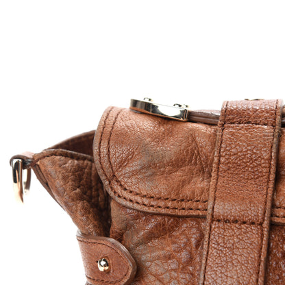 Mulberry Shiny Grained Lambskin Travel Day Oak 14 of 24