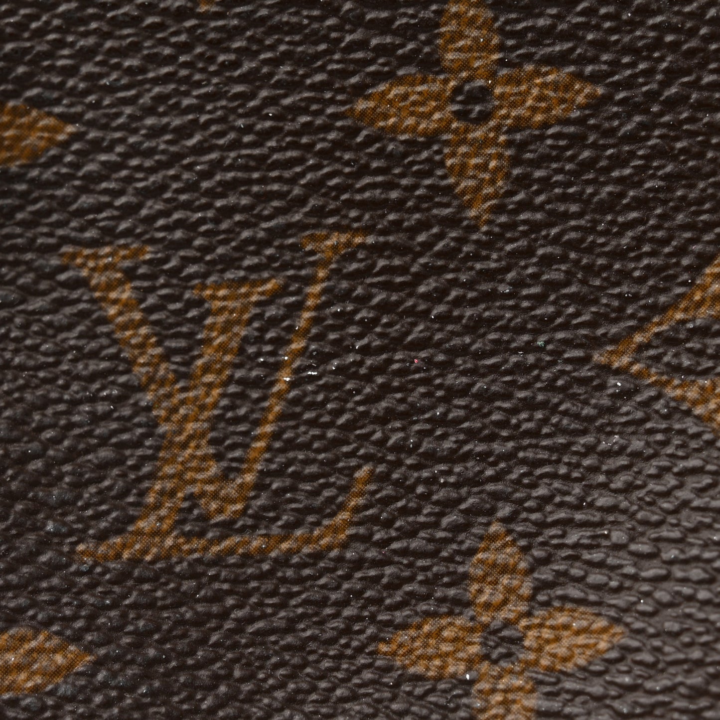 Monogram Mini Pochette Accessories
