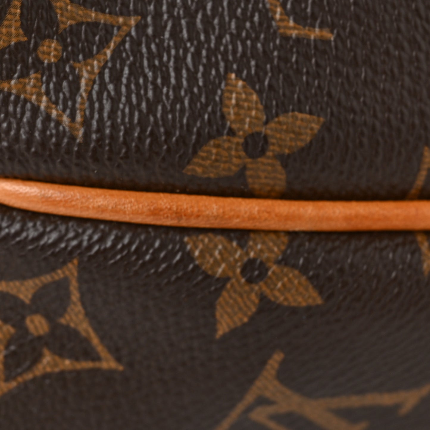 Monogram Turenne PM