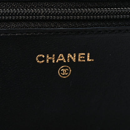 Chanel Lambskin Quilted Pearl Crush Wallet On Chain WOC Black 6 of 14