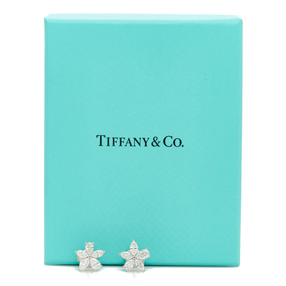 Tiffany Platinum Diamond Large Victoria Mixed Cluster Earrings 4 of 4