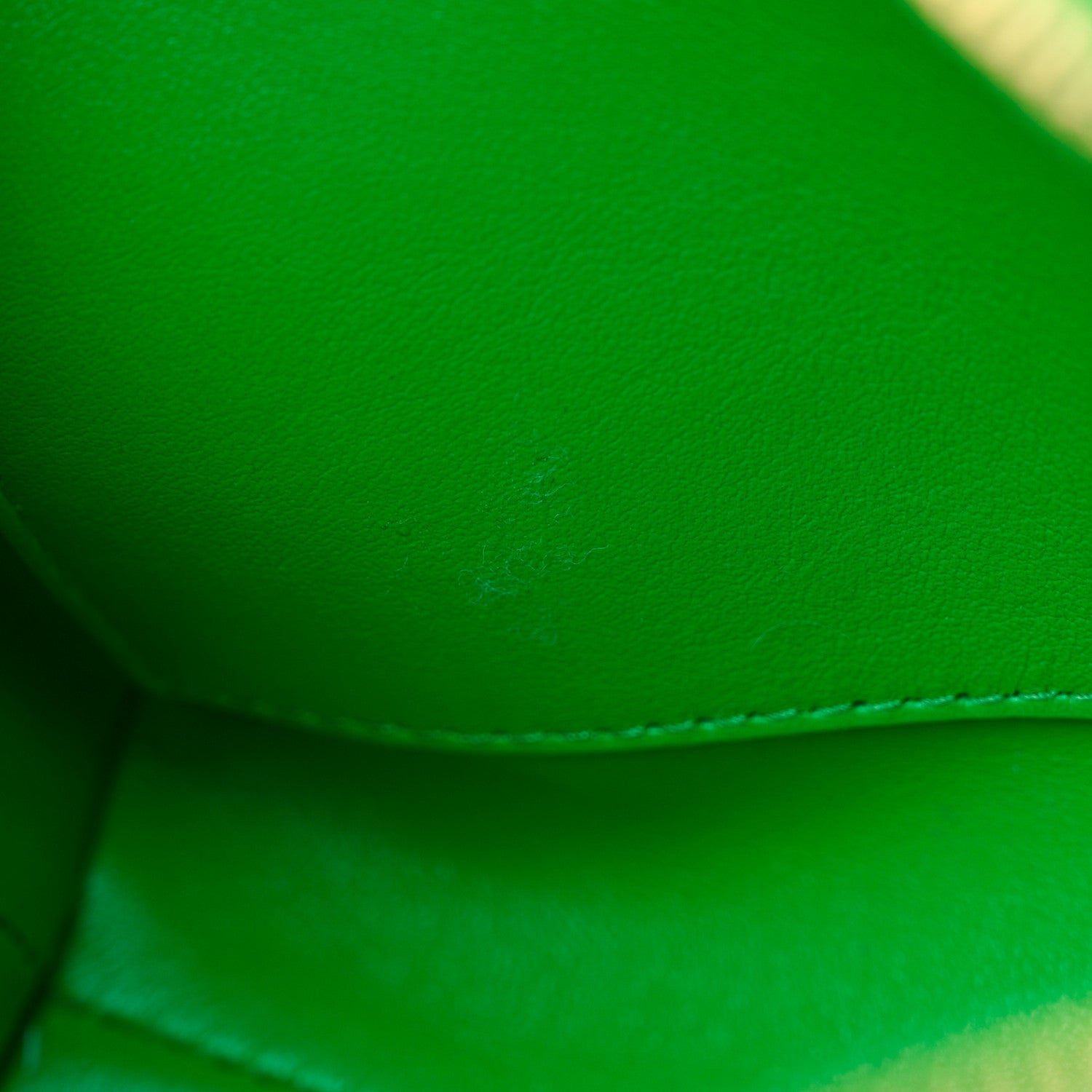 Bottega Veneta Nappa Intrecciato Mini Loop Camera Bag Parakeet 8 of 14
