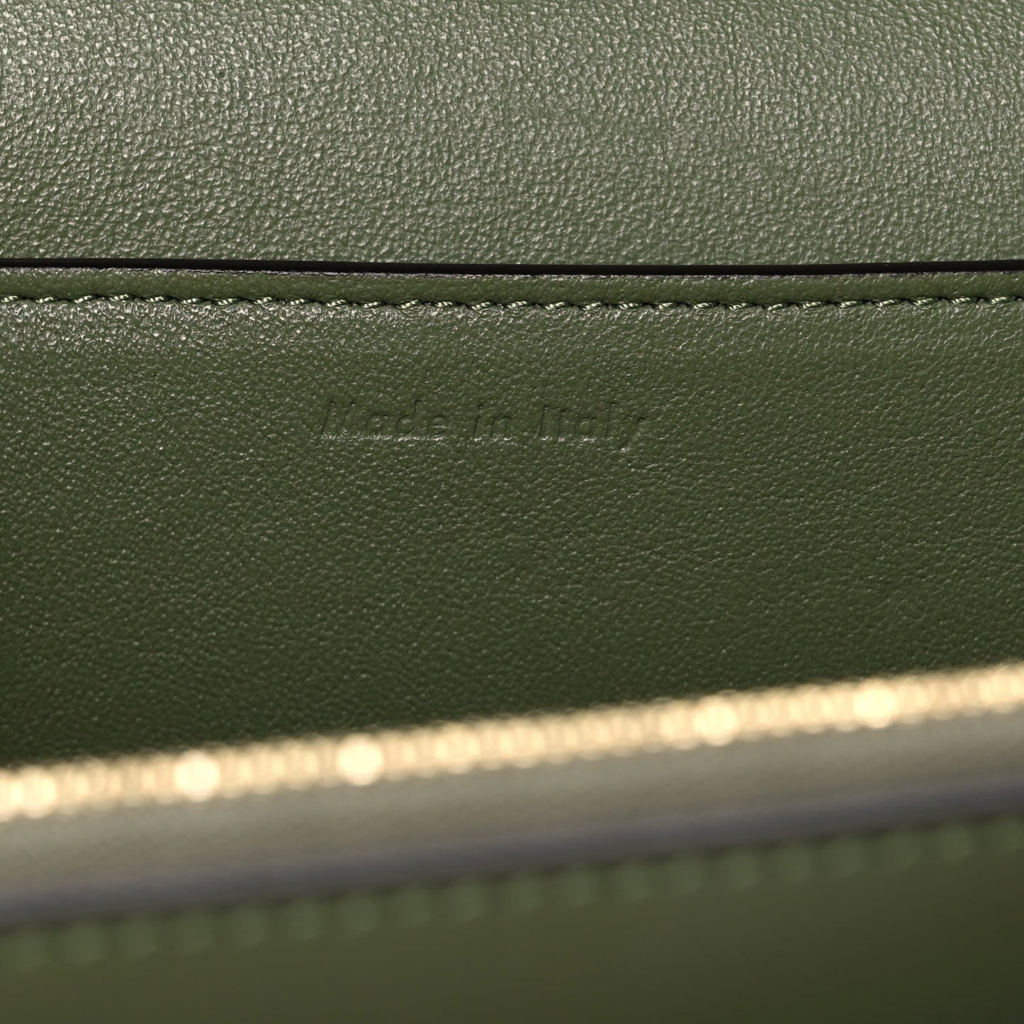 Shiny Smooth Calfskin Medium Frame Shoulder Bag Olive Pastel Green