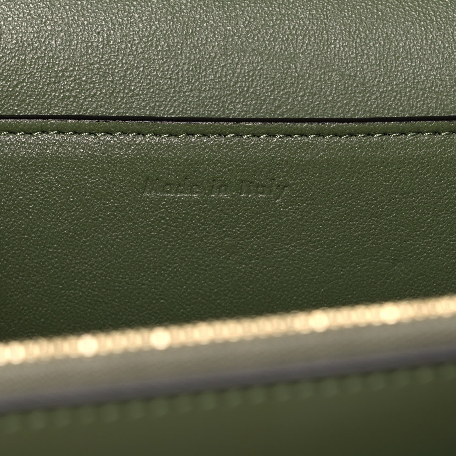 Celine Shiny Smooth Calfskin Medium Frame Shoulder Bag Olive Pastel Green 6 of 12